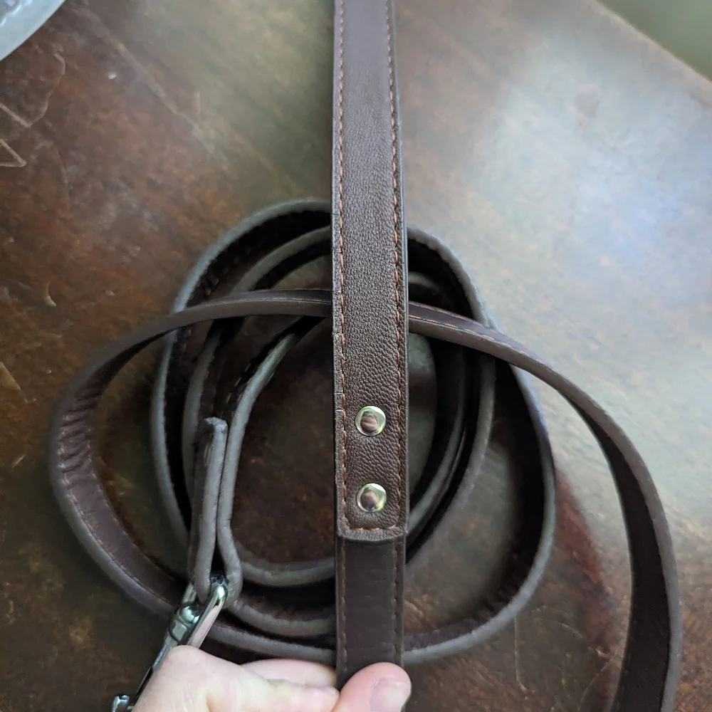 Brown leather dog leash